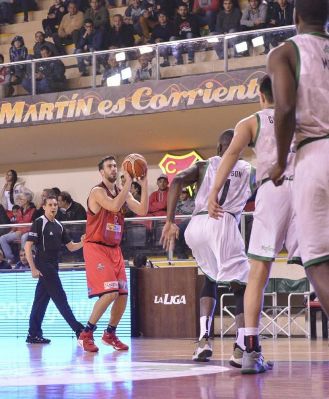 El ladr�n patag�nico